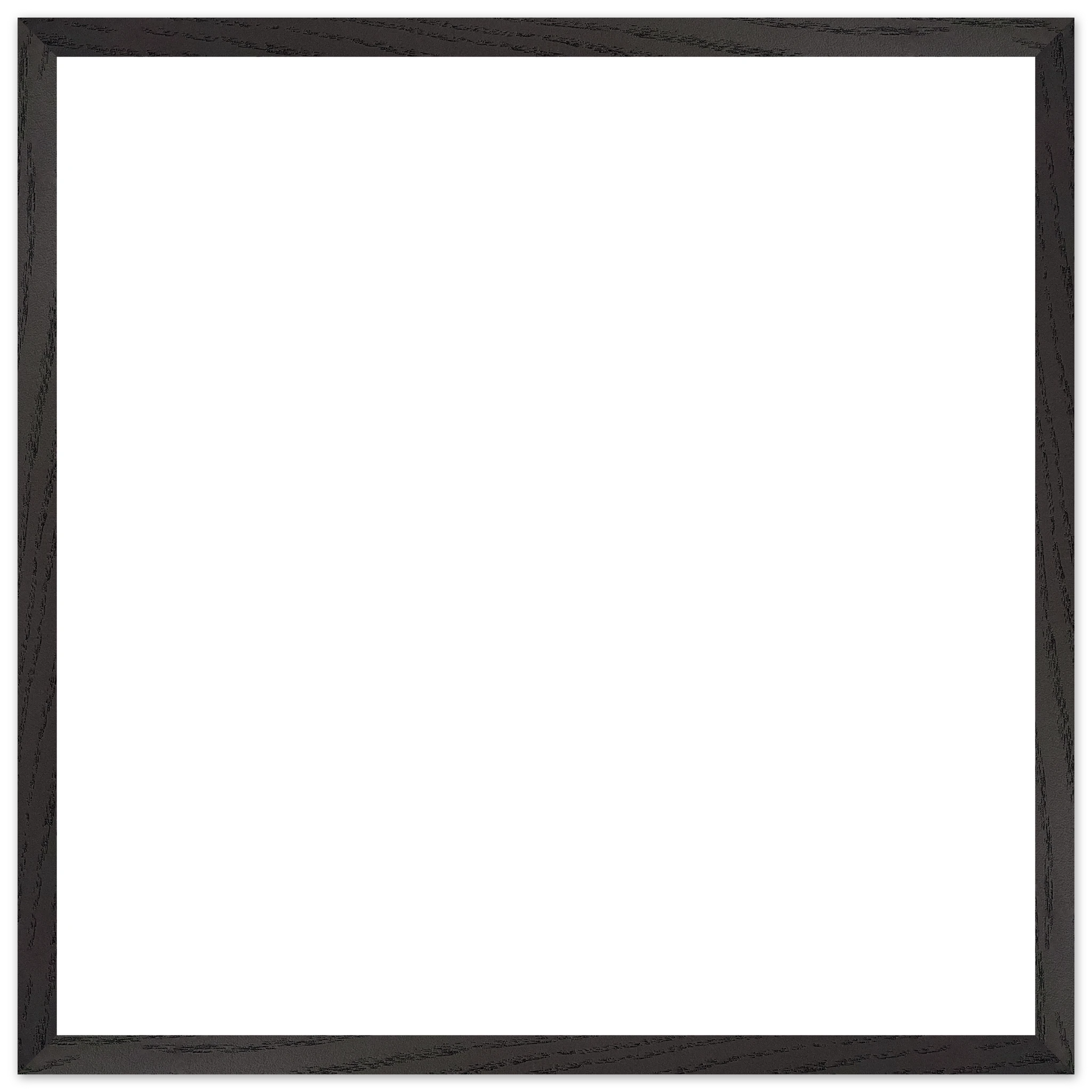 004eba63-b353-4811-ad98-c55e15efe919