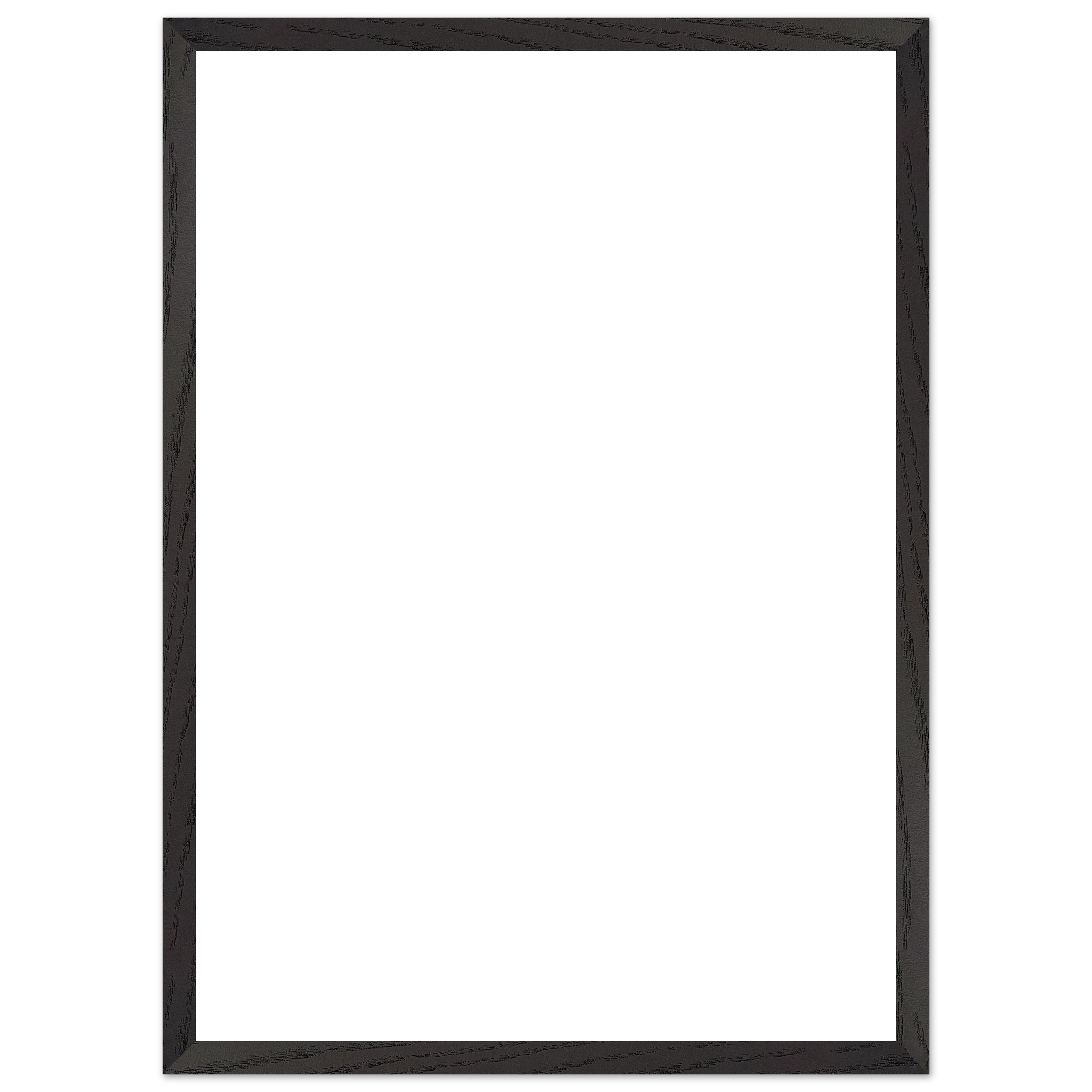 1fd1ac6b-6536-42fa-90c4-975e018e802b