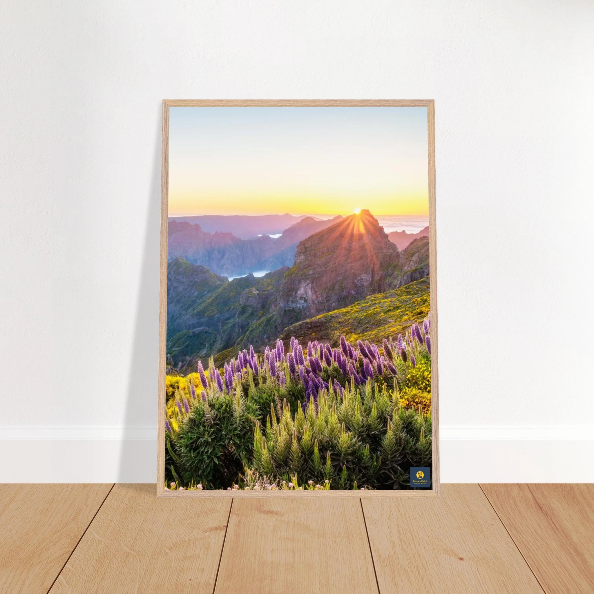 ae066023-65f5-40aa-959f-75701777097e