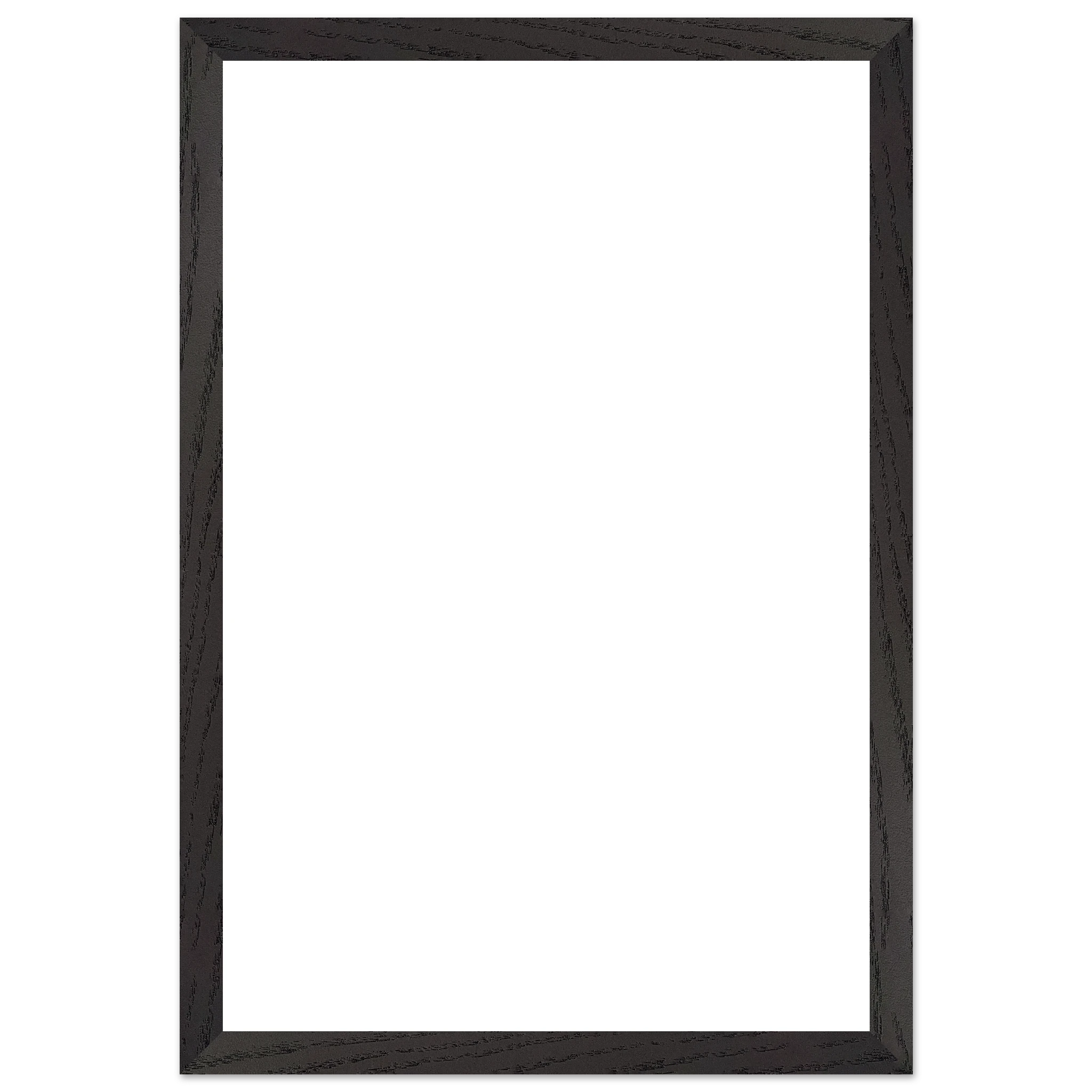 c5912457-ce8c-43c6-a992-25ed490c4bdf