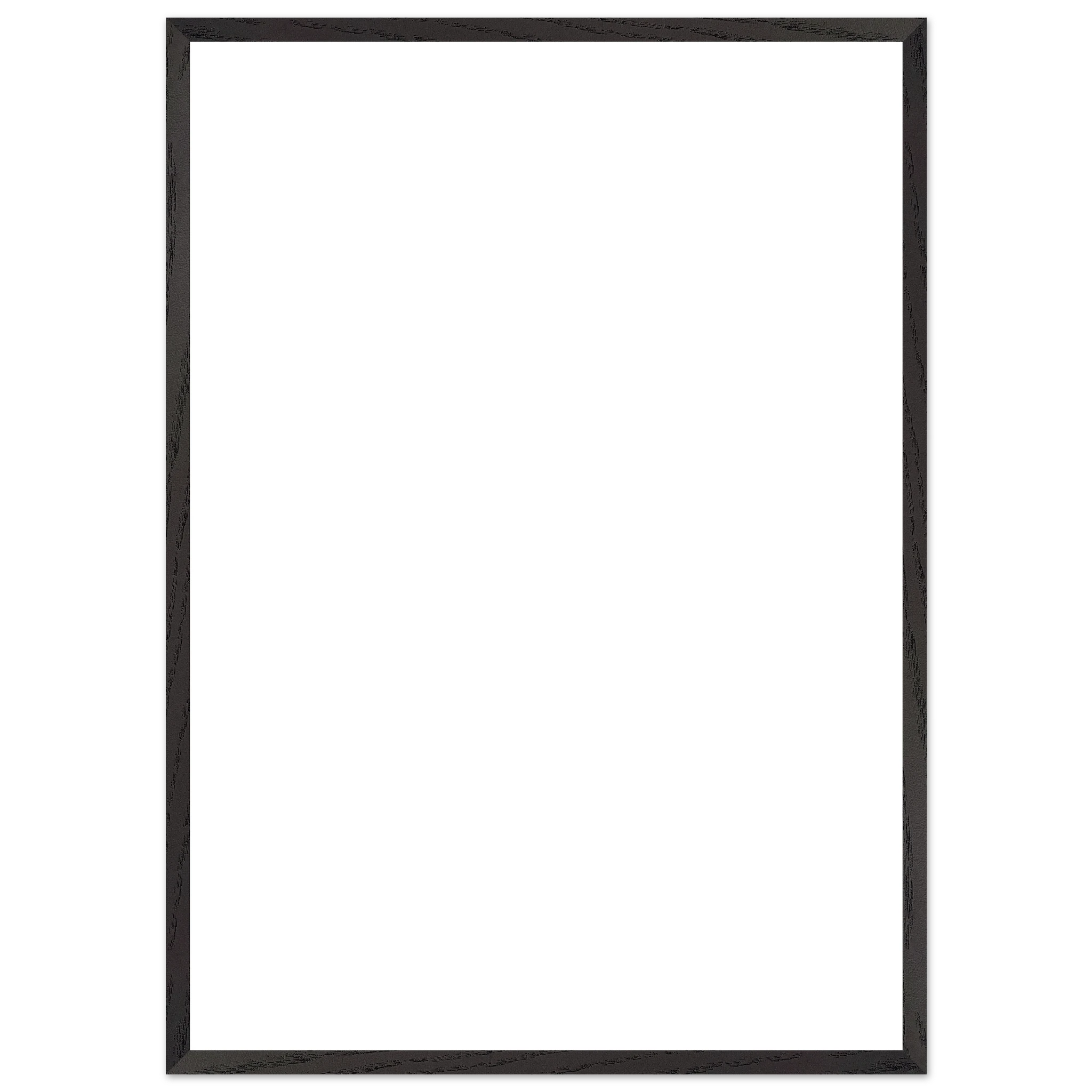 fc7b0fc3-a997-42f4-b446-16de6058d039