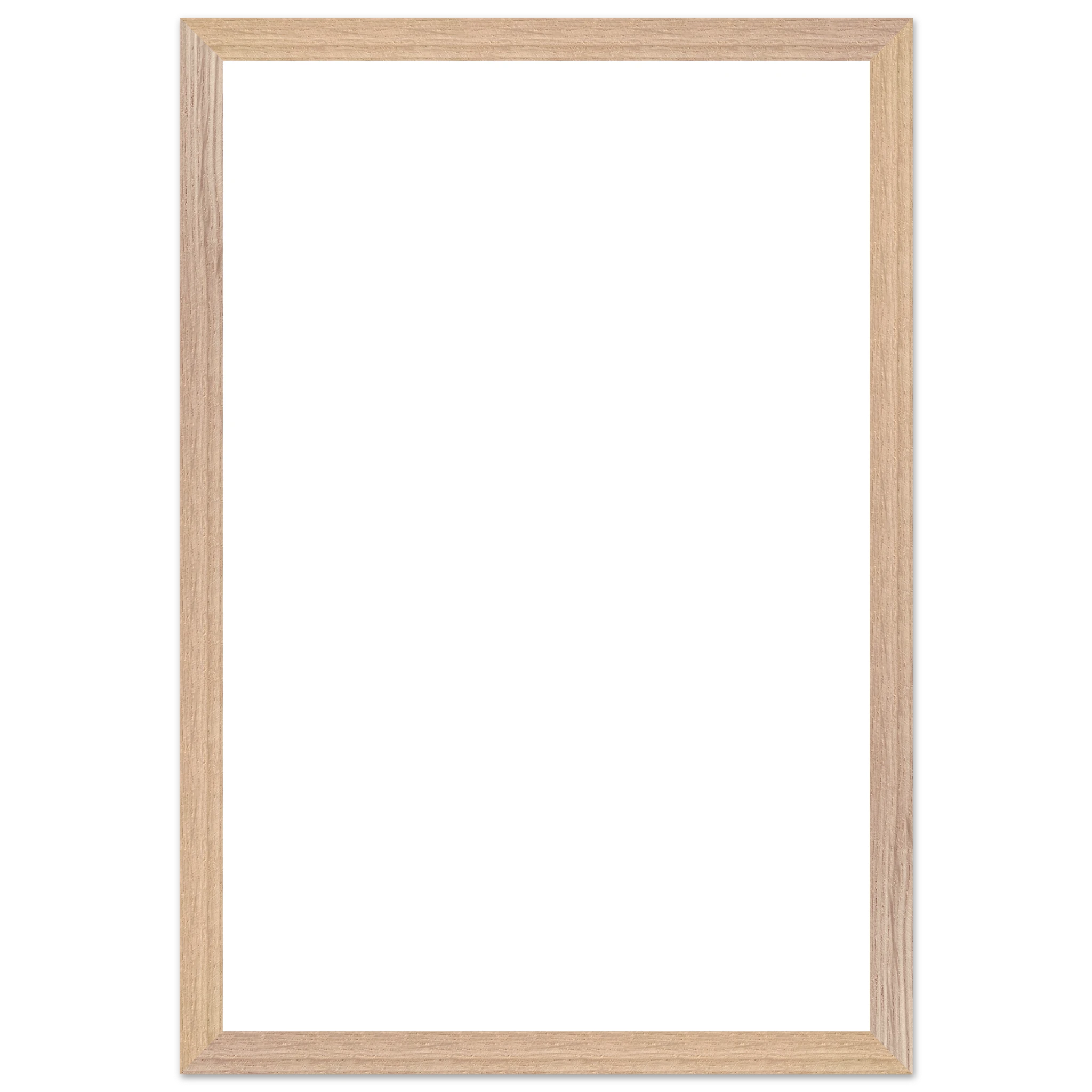 fe8e5daf-0fde-4d3c-a38c-bb63b345283b